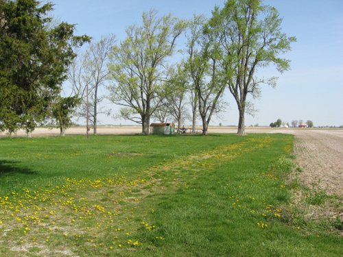 Property photo 10 - 172 Acres Offered in 3 Tracts - Prime Farmland